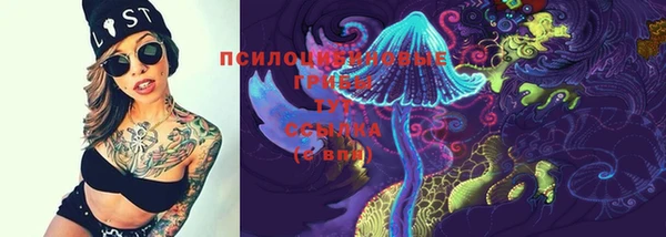 ГАЛЛЮЦИНОГЕННЫЕ ГРИБЫ Остров