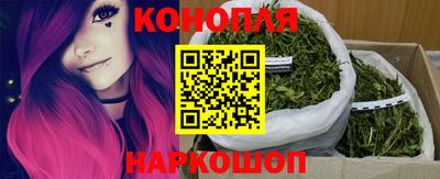 Альфа ПВП Владикавказ