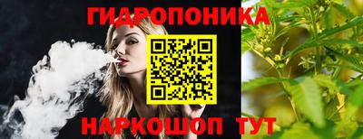 Альфа ПВП Владикавказ