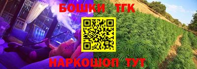 Альфа ПВП Владикавказ