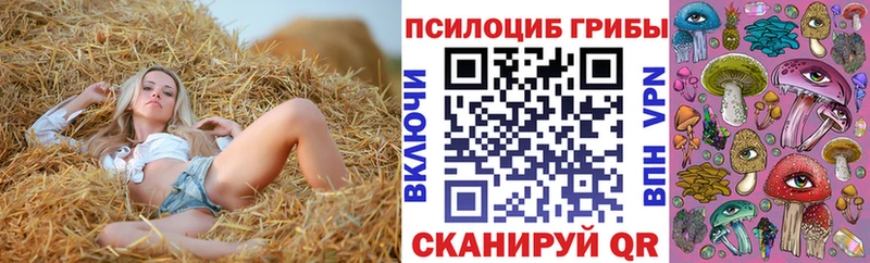 ОМГ ОМГ рабочий сайт  Балашиха  Псилоцибиновые грибы мицелий 