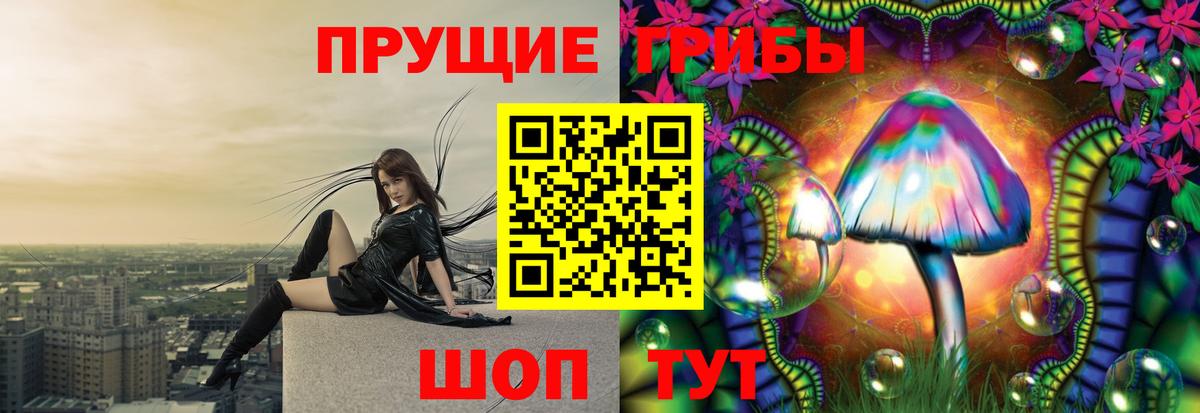 Балашиха  Галлюциногенные грибы MAGIC MUSHROOMS  Вход с VPN 
